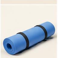 Beginner Dumbbell Pair